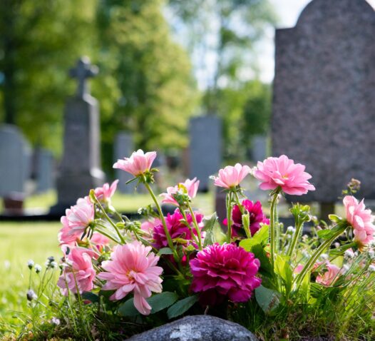 Gravsten omgiven av rosa och lila blommor på en kyrkogård.