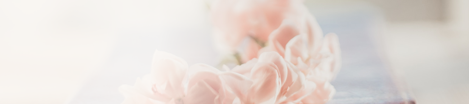 Närbild av mjuka rosa blommor med suddig bakgrund.