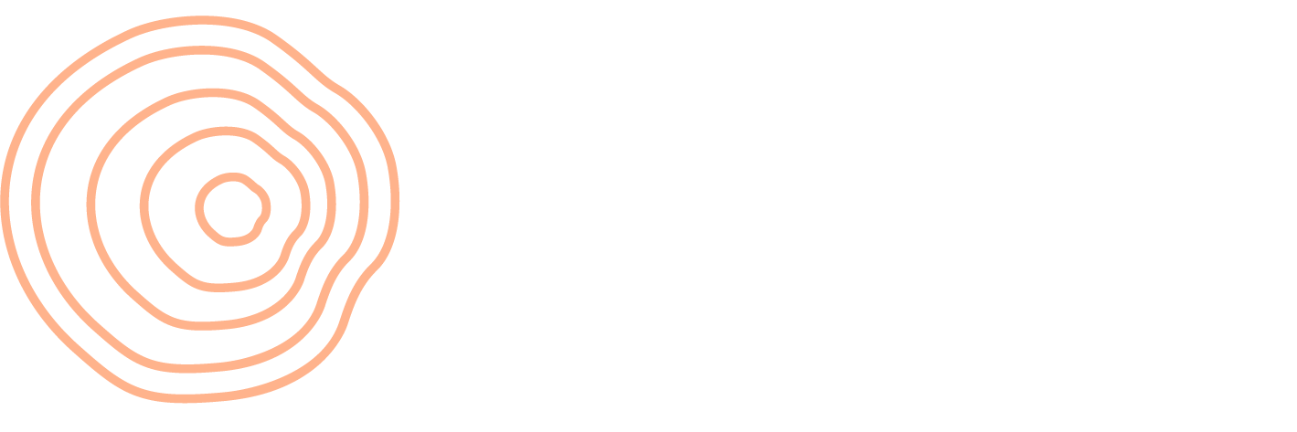 A stylized, peach-colored, abstract shape resembling a brushstroke on a white background.